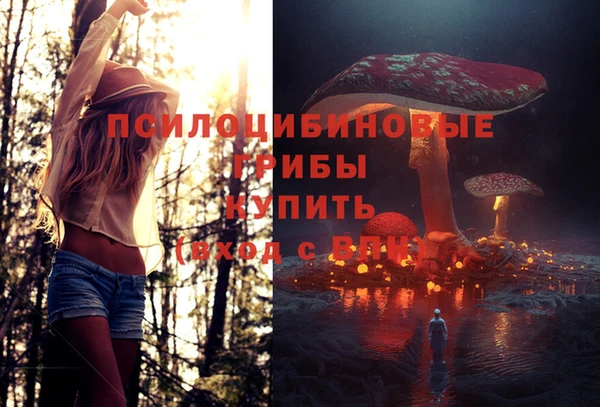 гашик Алзамай