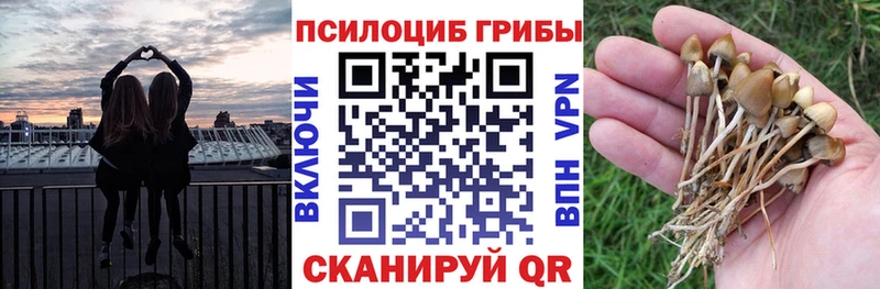 Псилоцибиновые грибы Magic Shrooms  что такое наркотик  Калач-на-Дону 