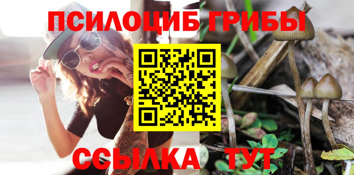 Галлюциногенные грибы GOLDEN TEACHER Калач-на-Дону